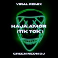 Green Neon DJ - Haja Amor (Tik Tok Edit)(Remix)