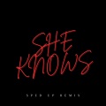 Xanemusic - She Knows (TikTok Version)(Remix)