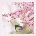봄날의 피아노 (Piano in Spring)