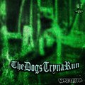 WTC、Dirtyice - TheDogsTrynaRun (feat. Dirtyice)(Explicit)