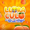 Llora Culo (Explicit)