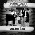 Tommy James、The Shondells - Say I Am