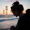 何仙子、小匠 - 爱到心好痛