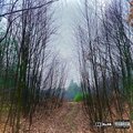 JUT - keep going