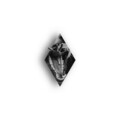 Arsen、Sharxx - Balla Coi Lupi (Explicit)