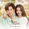 郑俊树J.SHU - 为你而来