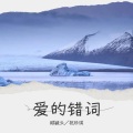 顾毓云 - 错词
