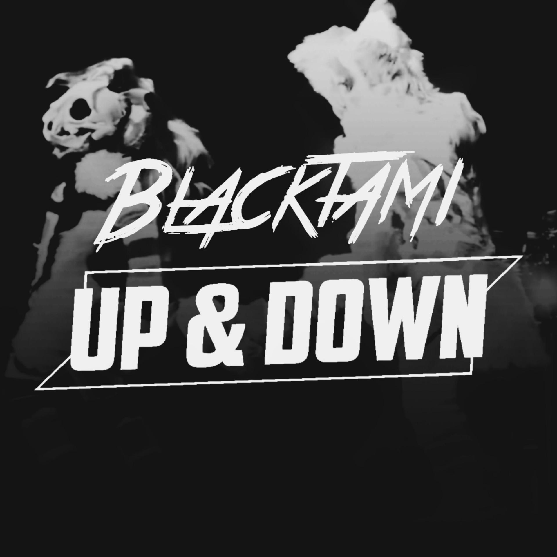 Blacktami、Florian Zikoli - Up & Down