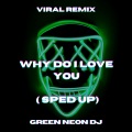 Green Neon DJ - Why Do I Love You (Tik Tok Sped Up)(Remix)
