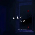 婧钰儿JY - 后来的我们