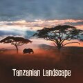 Tanzanian Landscape (Relaxing African Music with Kalimba)
