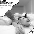 Sleep Peacefully - Relaxing And Calming Music