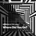 Where Did You Go? (Chill Night Mix)