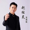 王艺乐 - 赶牲灵