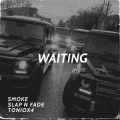 SLAP N FADE、Toni-O - WAITING