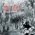 Perfect Zebras - Touching My Heart Again