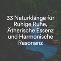 Waldgeräusche、Heilende Geräusche Der Natur Academie、Naturgeräusche - In Blüte