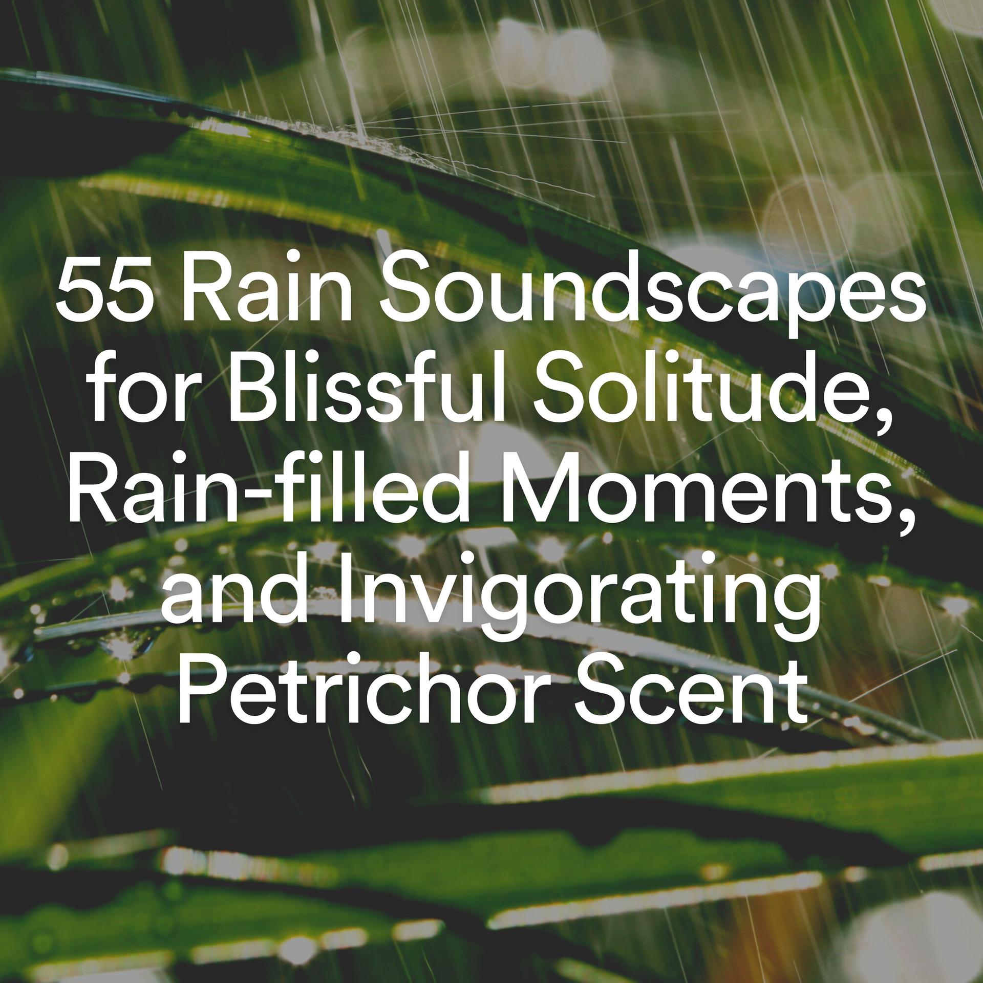 Rain Storm Sample Library、Natural Rain Sounds for Sleeping、Rainfall Place - Gentle Night Time Rain, Pt. 1