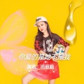 田丽颖 - 你爱的是她不是我2