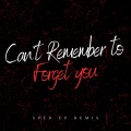 Can't Remember To Forget You (Sped Up)(Remix)