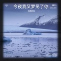 优愁的风 - 今夜我又梦见了你