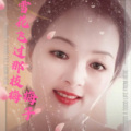 梅子 - 雪花飞过那枝梅