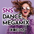 DJ DIVERCITY、Party Town - New Love