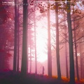Luxe Agoris、Stijn de Boer、Courtney Drummey - Whatever You Like