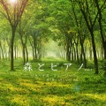 VISHUDAN - 森とピアノ - 雫