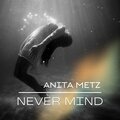 Anita Metz - The Azimuth's Solution