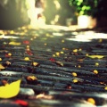 肖佳蓓 - Following the Footsteps