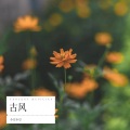 小豆小豆 - 相思岸