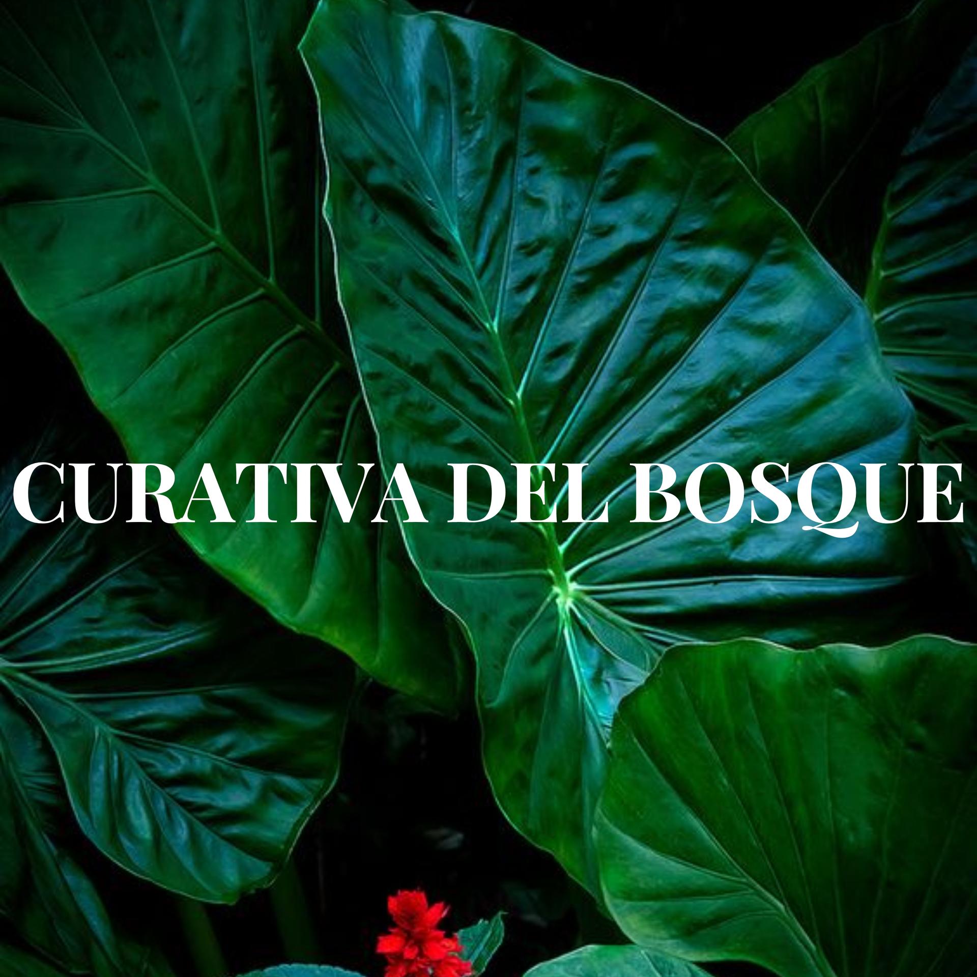 MUSICA HERMOSA DEL BOSQUE - NATURAL ZEN