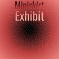 Miniskirt Exhibit