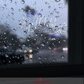 冯鑫阳 - 掌心的温柔