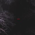 l.u.s.t.、Nonspecific - LOST