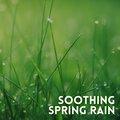 Rainfall、Rain FX、Best Rain Sounds ASMR、Sounds of Rain - Reinvigorating Cloudburst