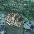 Cats and Ambient Music: Gentle Sleep