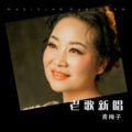 青梅子 - 恋曲1990