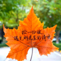 在水一方 - 老地方不见