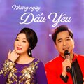 Ngọc Sơn、Ngân Huệ - Người Viết Nhạc Tình Buồn