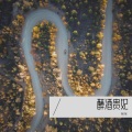 咪咪 - 贵妃醉酒