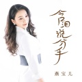 燕宝儿 - 含泪说分手