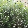 Tropical Rain Noise From a Balcony