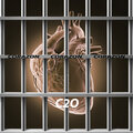 c2o - Corazon