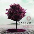 Taproot - Again & Again