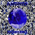Amonos - Brazileira