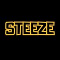 Lost In The Wave - Steeze