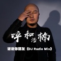 谢谢你朋友《DJ Radio Mix》