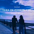 SirChox - Tere Te Pighal Gye Assi (LoFi)